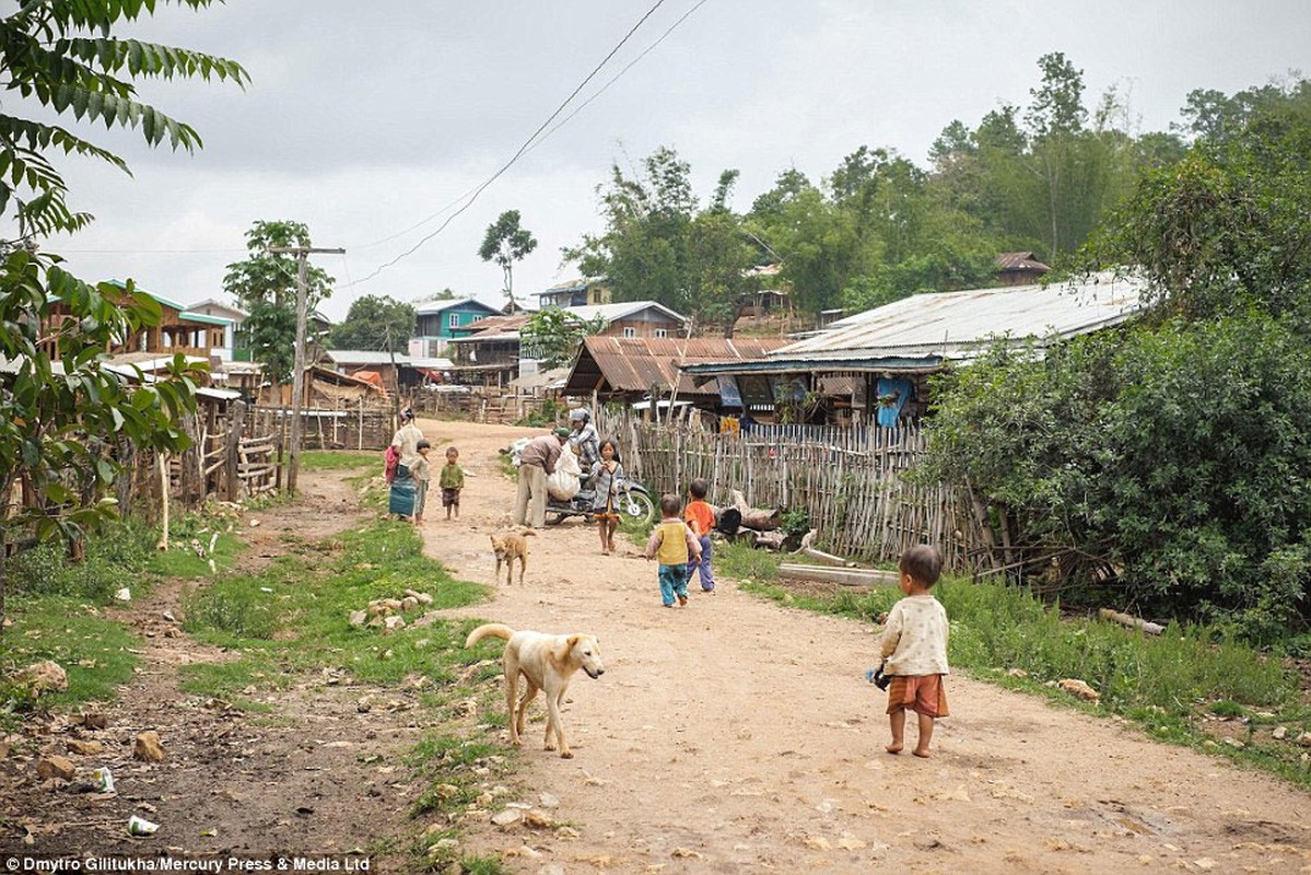 Doc dao bo toc co dai o Myanmar-Hinh-8